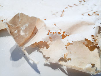 High angle view of ice cream on table