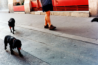 Full length of woman walking on sidewalk