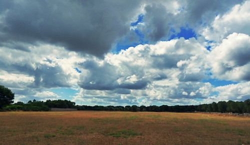 Scenic view of landscape against cloudy sky