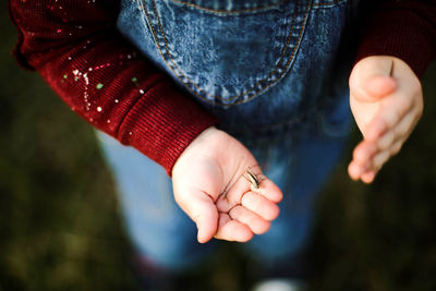 Cropped hands of boy holding insect on field