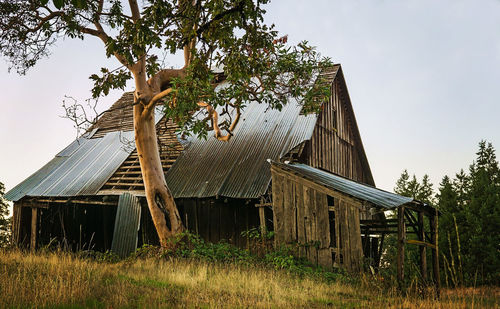 Barn by tree against sky