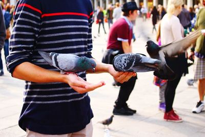 Midsection of man feeding pigeons on street