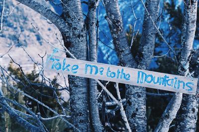 Close-up of text on tree