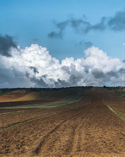 Scenic view of agricultural field against sky