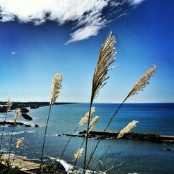 Scenic view of sea against blue sky