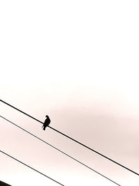 Low angle view of birds perching on cable against sky