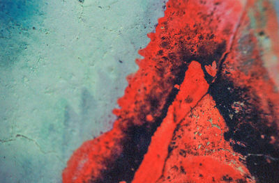 Full frame shot of water on land