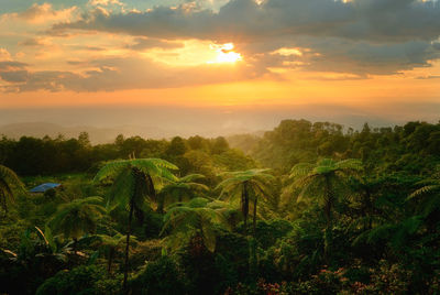 Scenic view of field against sky during sunset