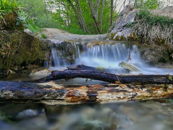 Scenic view of waterfall in forest