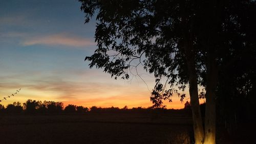 Silhouette trees on field against sky during sunset