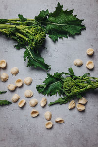 High angle view of vegetables on table