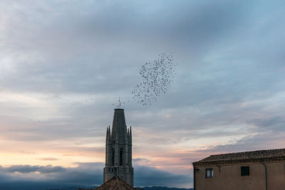 Low angle view of birds flying against sky