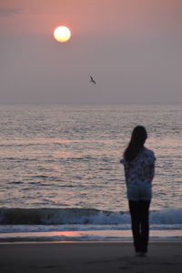 Rear view of bird on beach against sky during sunset