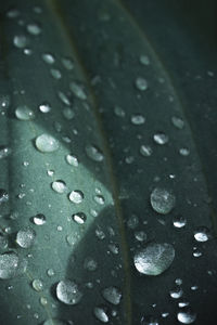 Full frame shot of raindrops on rainy season