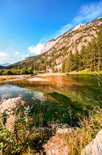 nature