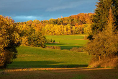 Scenic view of trees on field against sky during autumn