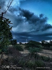 Trees on landscape against cloudy sky