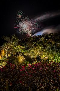 Low angle view of firework display at night