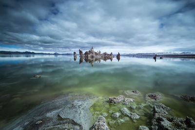 An algae rich green glowing mono lake in northern california