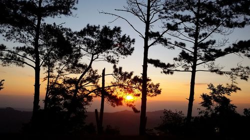 Silhouette trees against sky during sunset