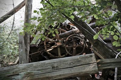 Old wooden door