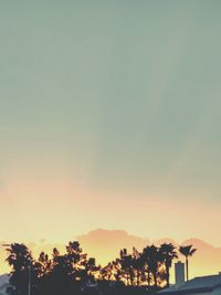 Silhouette trees against sky during sunset