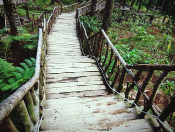 Wooden footbridge amidst trees in forest