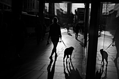 Silhouette people walking on street in city