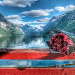 Red rose on lake against mountains