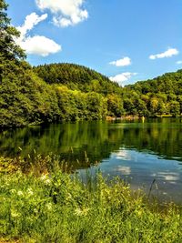 Scenic view of lake and trees in forest against sky