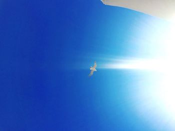 Low angle view of airplane flying in sky