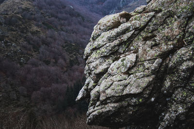 Low angle view of rock formation on mountain
