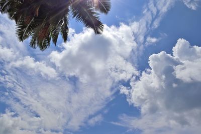 Low angle view of palm trees against blue sky