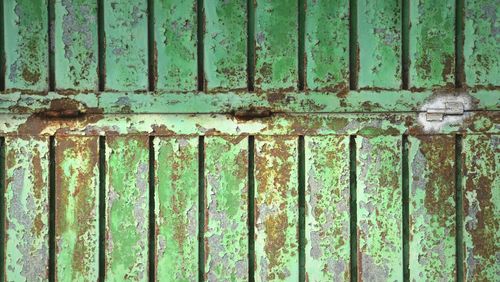 Weathered wooden door