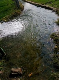 High angle view of water