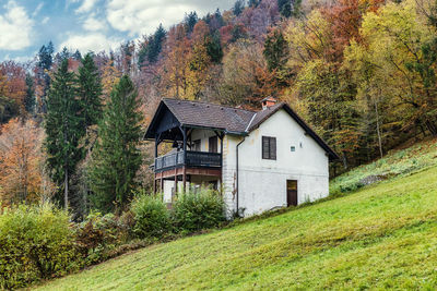 House on field by trees