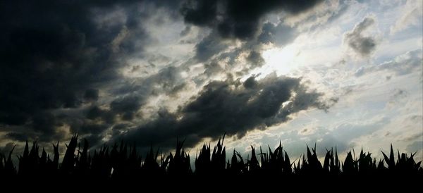 Low angle view of storm clouds in sky