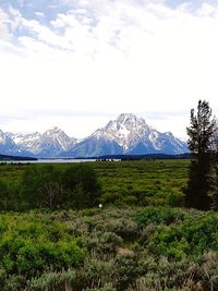 Scenic view of landscape against sky