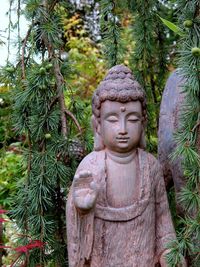 Close-up of buddha statue by plants in park