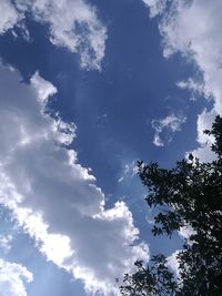 Low angle view of trees against blue sky