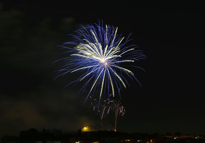 Low angle view of firework display at night