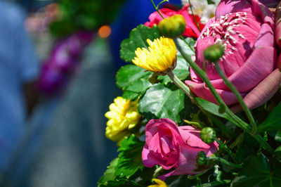 Close-up of rose bouquet