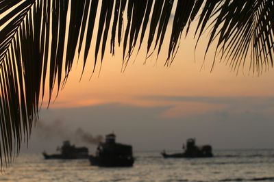 Silhouette palm tree by sea against sky during sunset