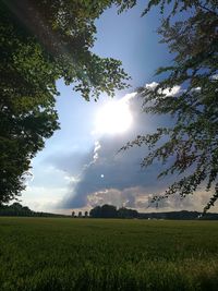 Scenic view of grassy field against sky