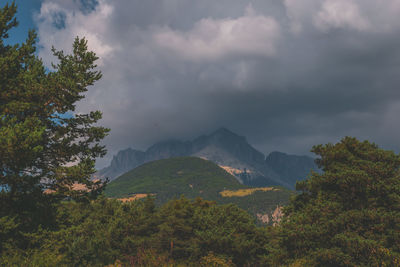 nature