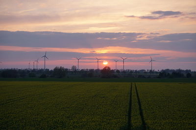 Scenic view of field against sky during sunset