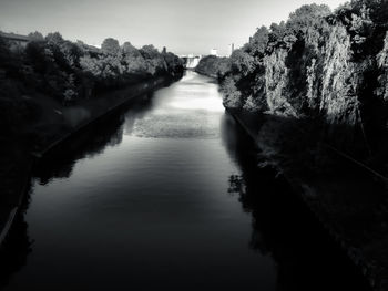 Reflection of trees in river