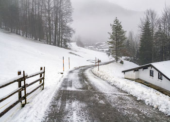 Snow covered street amidst trees during winter