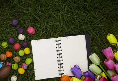 Directly above shot of open diary with macaroon and artificial tulips on field