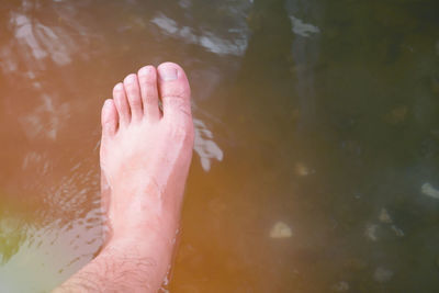 Low section of man in lake